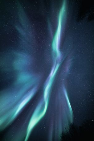 northern lights, starry night Wallpaper 4160x6240