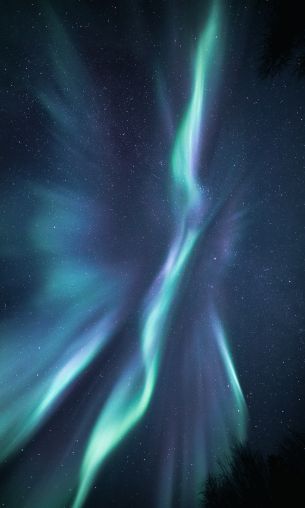 northern lights, starry night Wallpaper 1200x2000