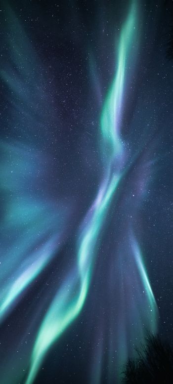 northern lights, starry night Wallpaper 1440x3200