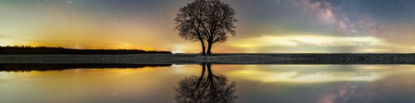 milky way, tree, lake Wallpaper 1590x400