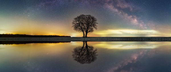 milky way, tree, lake Wallpaper 2560x1080