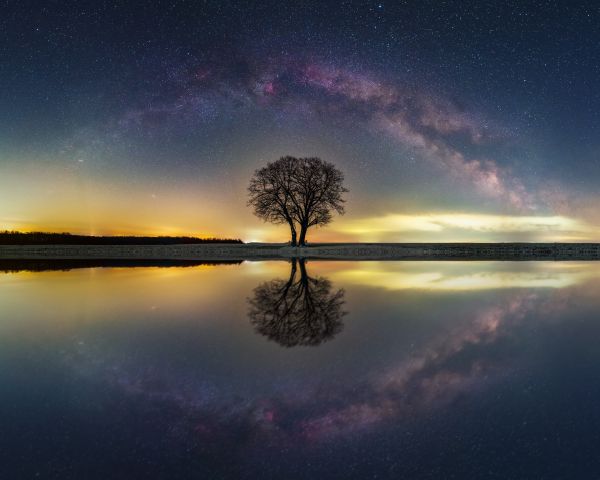 milky way, tree, lake Wallpaper 1280x1024