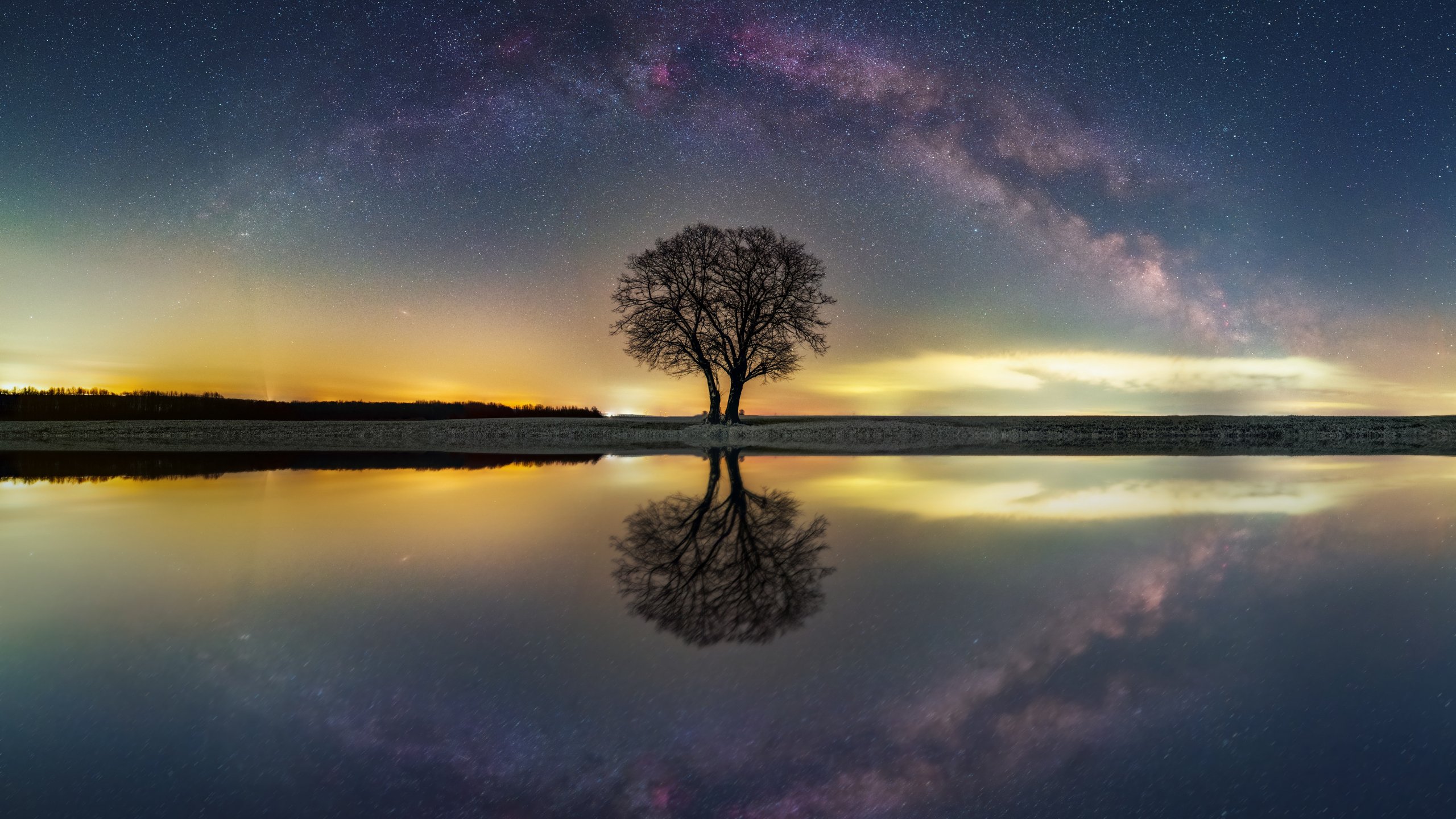 Milky way, tree, lake Wallpaper 2560x1440 2K (WQHD) (QHD)