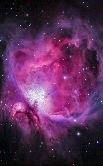 nebula, stars Wallpaper 1200x1920