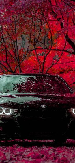 black car Wallpaper 828x1792