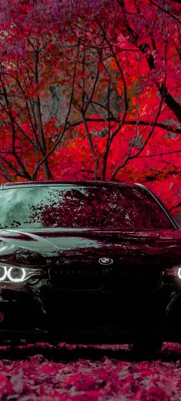 black car Wallpaper 720x1600