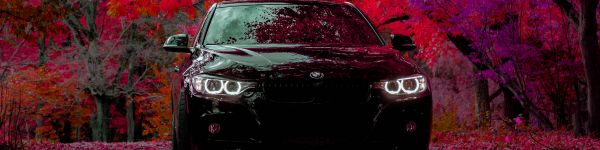 black car Wallpaper 1590x400