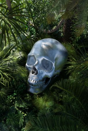 3D modeling, skull Wallpaper 640x960