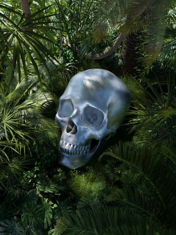 3D modeling, skull Wallpaper 1668x2224