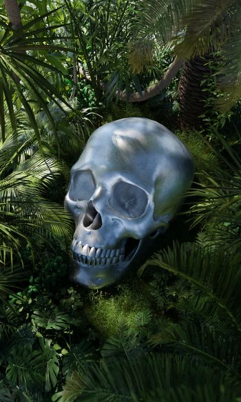 3D modeling, skull Wallpaper 1200x2000