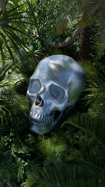 3D modeling, skull Wallpaper 640x1136