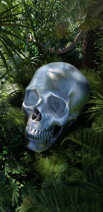 3D modeling, skull Wallpaper 1440x2960