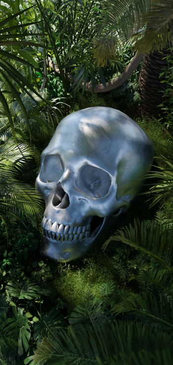 3D modeling, skull Wallpaper 1440x3040