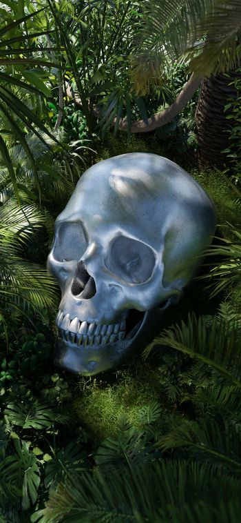 3D modeling, skull Wallpaper 1080x2340