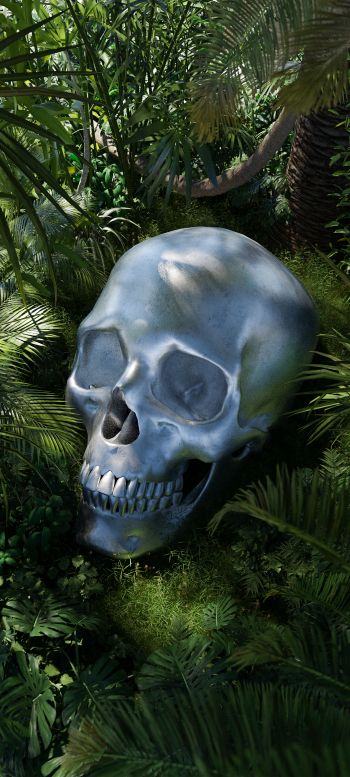 3D modeling, skull Wallpaper 1080x2400