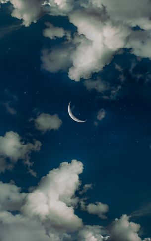 month, stars, clouds Wallpaper 1752x2800