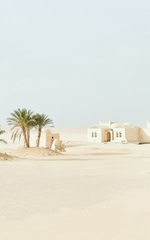 Fayum, Egypt, desert Wallpaper 1752x2800