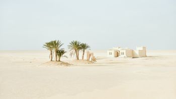 Fayum, Egypt, desert Wallpaper 1366x768