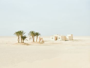 Fayum, Egypt, desert Wallpaper 1024x768