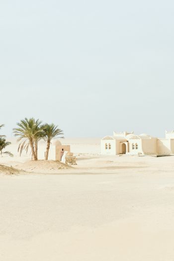 Fayum, Egypt, desert Wallpaper 640x960