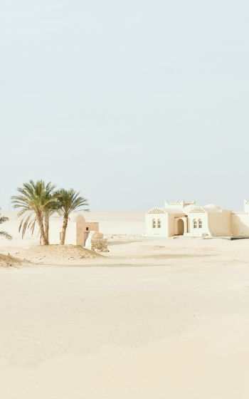 Fayum, Egypt, desert Wallpaper 800x1280