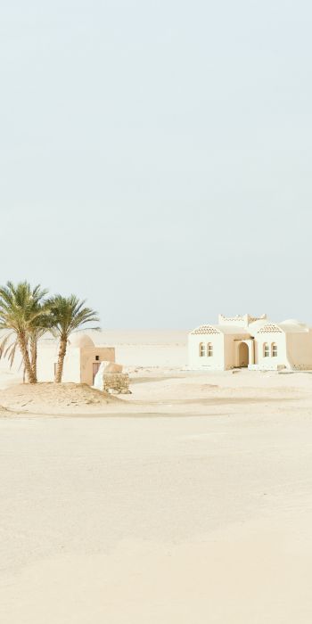 Fayum, Egypt, desert Wallpaper 720x1440