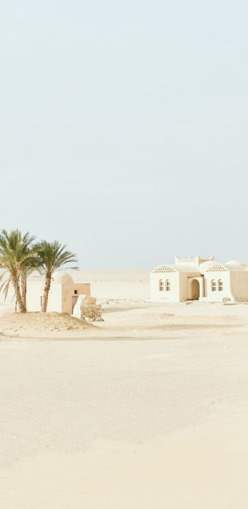 Fayum, Egypt, desert Wallpaper 1080x2220