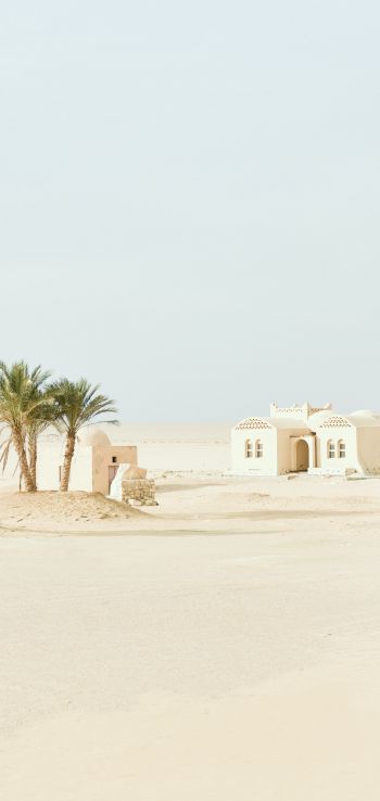 Fayum, Egypt, desert Wallpaper 720x1520