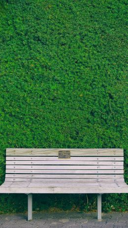 bench, hedge, green Wallpaper 640x1136