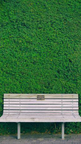 bench, hedge, green Wallpaper 720x1280