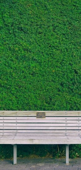 bench, hedge, green Wallpaper 720x1520