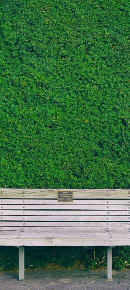 bench, hedge, green Wallpaper 720x1600