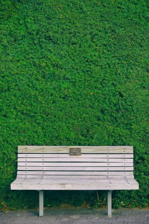 bench, hedge, green Wallpaper 640x960