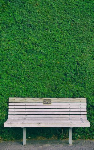 bench, hedge, green Wallpaper 800x1280