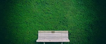 bench, hedge, green Wallpaper 2560x1080