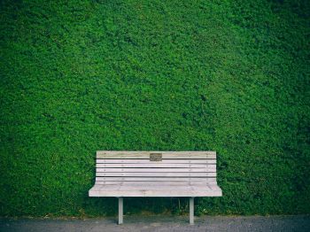 bench, hedge, green Wallpaper 1024x768