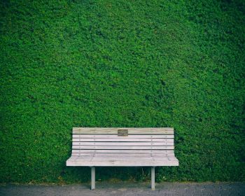 bench, hedge, green Wallpaper 1280x1024