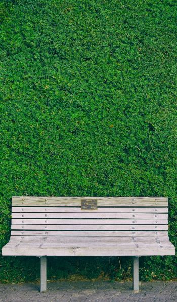 bench, hedge, green Wallpaper 600x1024