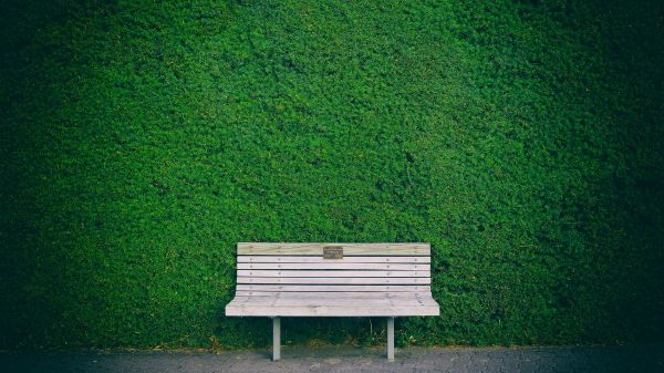 bench, hedge, green Wallpaper 1366x768