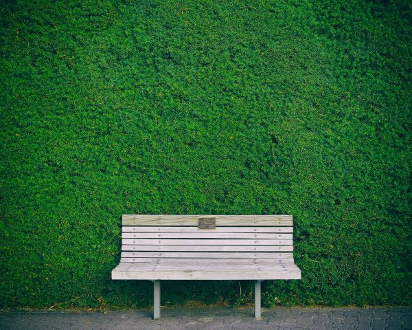 bench, hedge, green Wallpaper 1280x1024