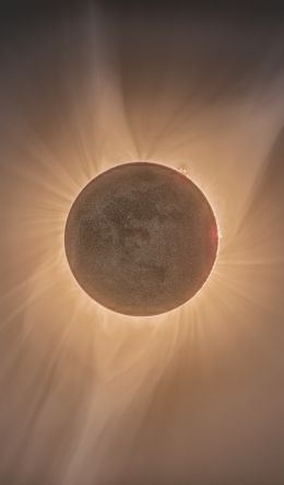 eclipse, moon, sun Wallpaper 600x1024
