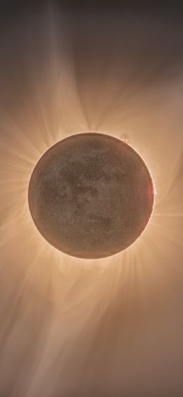 eclipse, moon, sun Wallpaper 1080x2340