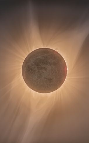 eclipse, moon, sun Wallpaper 1600x2560