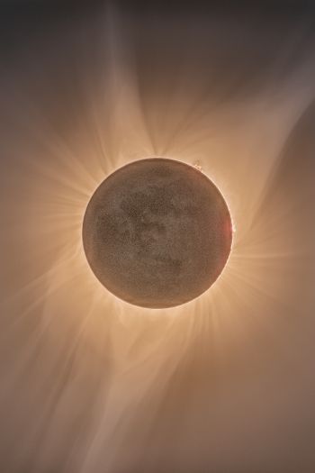 eclipse, moon, sun Wallpaper 640x960