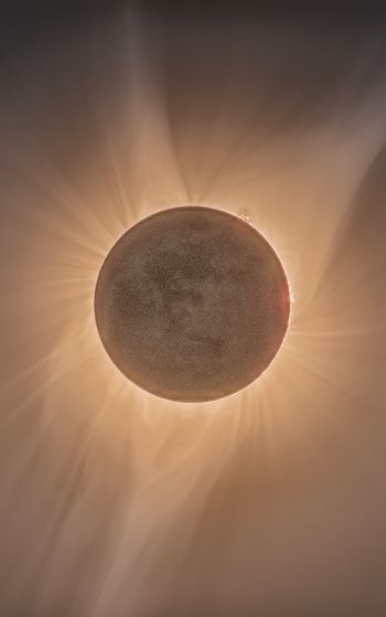 eclipse, moon, sun Wallpaper 1752x2800