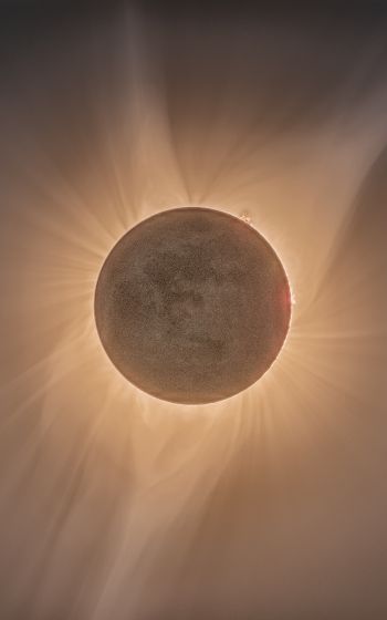 eclipse, moon, sun Wallpaper 1200x1920