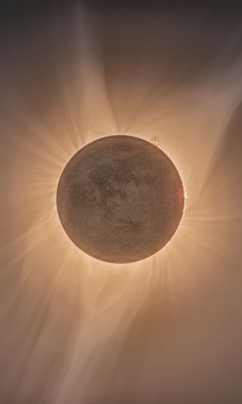 eclipse, moon, sun Wallpaper 1200x2000
