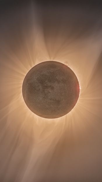 eclipse, moon, sun Wallpaper 1440x2560