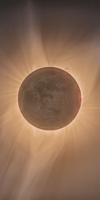 eclipse, moon, sun Wallpaper 720x1440