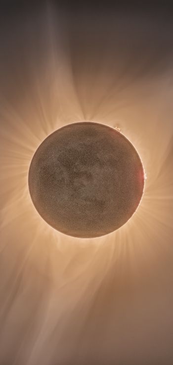eclipse, moon, sun Wallpaper 1080x2280